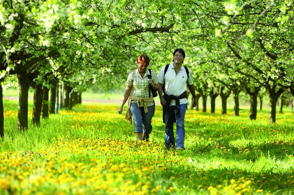 Loesch Fuer Freunde Hotel Hornbach ภายนอก รูปภาพ